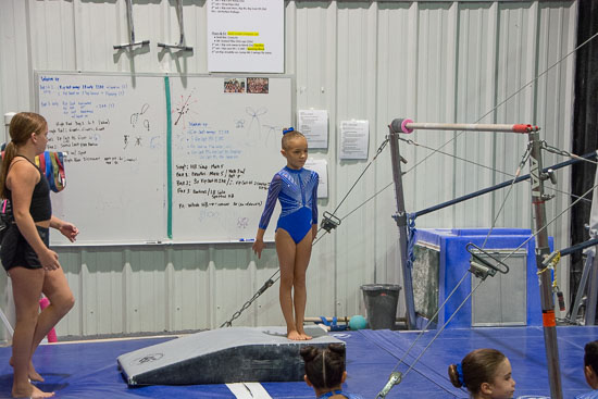 Family Activities - 2024