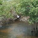 MarcoIsland2009__0031