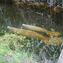 MarcoIsland2009__0057