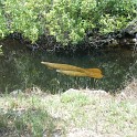 MarcoIsland2009__0063