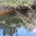 MarcoIsland2009__0069