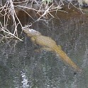 MarcoIsland2009__0081