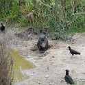 MarcoIsland2009__0082